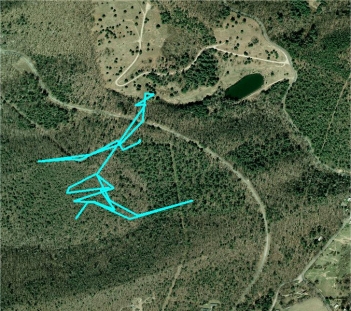 Eastern Box Turtle Route Map Interpretation