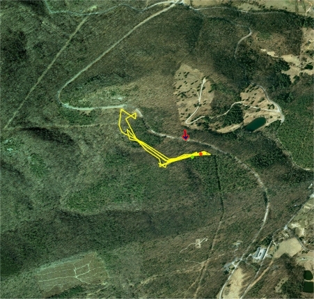 Eastern Box Turtle Route Map Interpretation