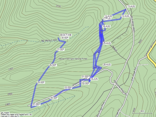 Eastern Box Turtle Route Map Interpretation