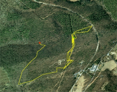 Eastern Box Turtle Route Map Interpretation