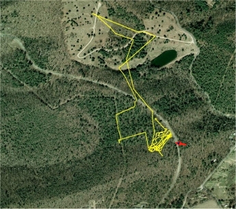 Eastern Box Turtle Route Map Interpretation