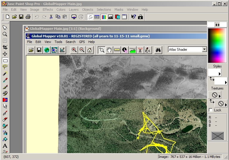 Eastern Box Turtle Mapping